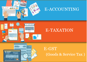 Picture of Accounting Course in Delhi SLA 110037, 