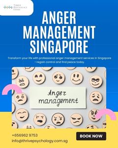 Picture of Effective Anger Management Solutions in Singapore 